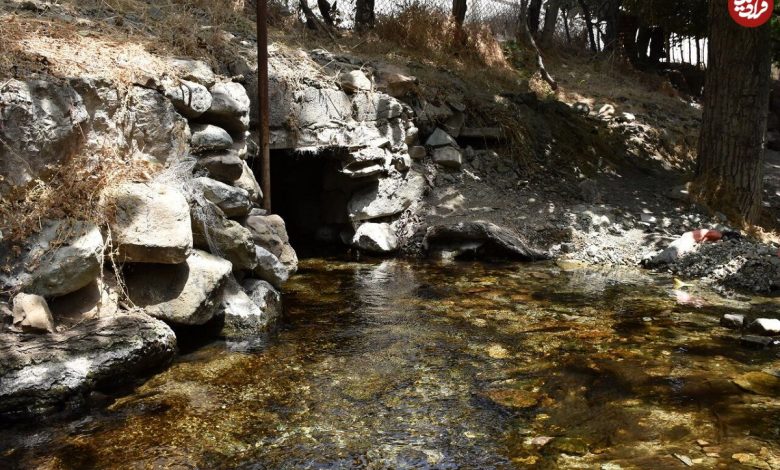 عکس؛ ارثیه گرانبها پنهان زیر پای برجها عکس؛ ارثیه گرانبها پنهان زیر پای برجها