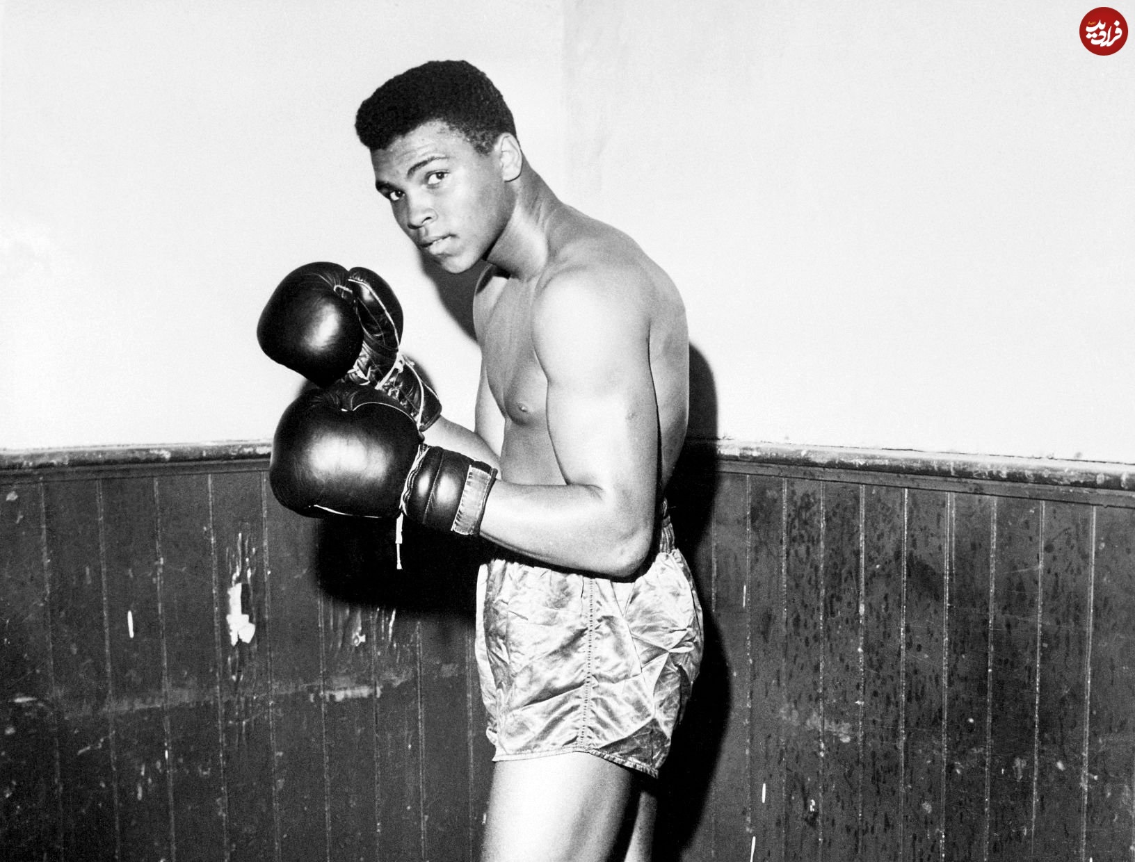 768769769-78-978-0-7876 768769769-78-978-0-7876-