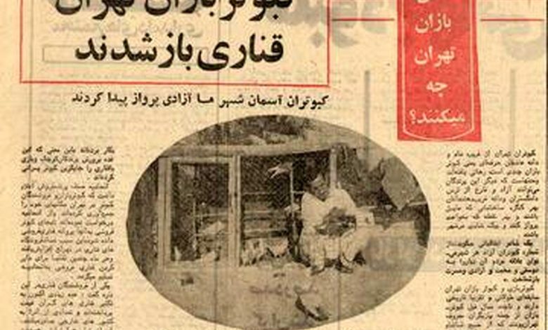 سفر به تهران قدیم؛ کفتر پرانی در تهران ممنوع و کبوترفروشیها ناچار به تغییر کاربری شدند! سفر به تهران قدیم؛ کفتر پرانی در تهران ممنوع و کبوترفروشیها ناچار به تغییر کاربری شدند!