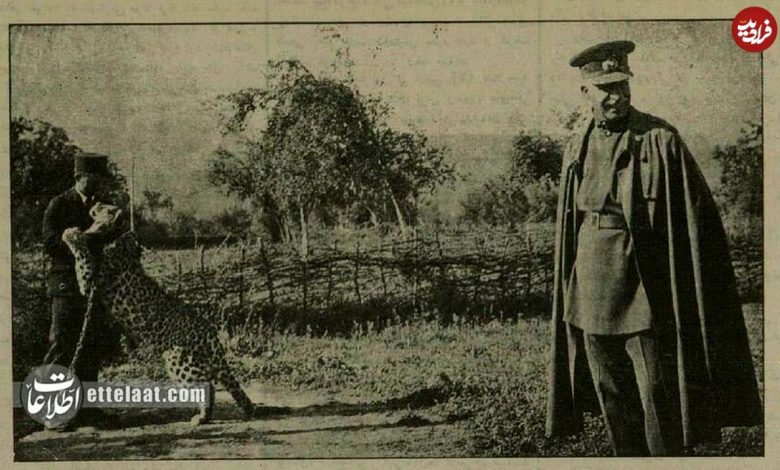 عکس؛ سفر به ایران قدیم؛ پلنگ مازندران مقابل رضاشاه آبروداری کرد! عکس؛ سفر به ایران قدیم؛ پلنگ مازندران مقابل رضاشاه آبروداری کرد!