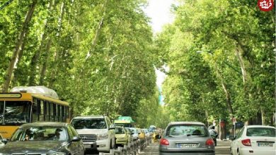 عکس؛ سفر در زمان؛ تصویر کمتر دیده شده از خیابان ولیعصر، ۷۵سال پیش