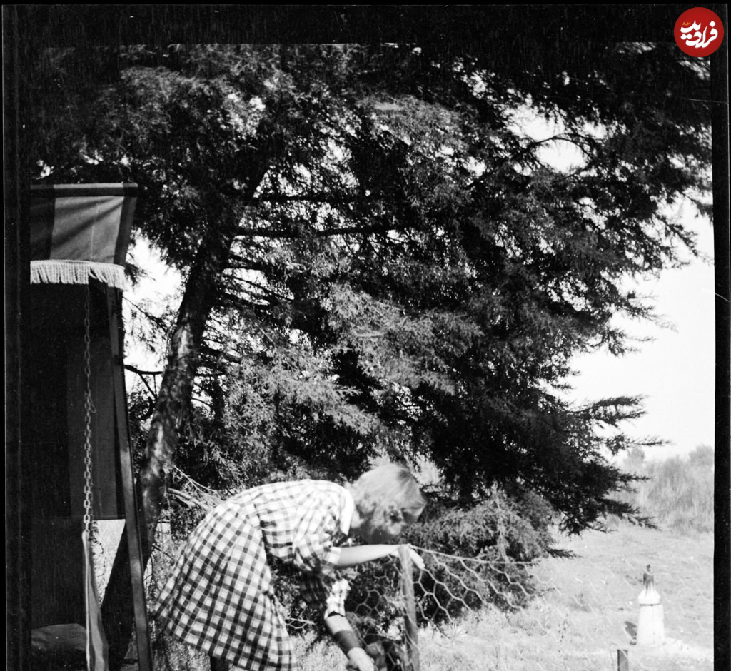 62b00552b2b62b 6+0055++6+