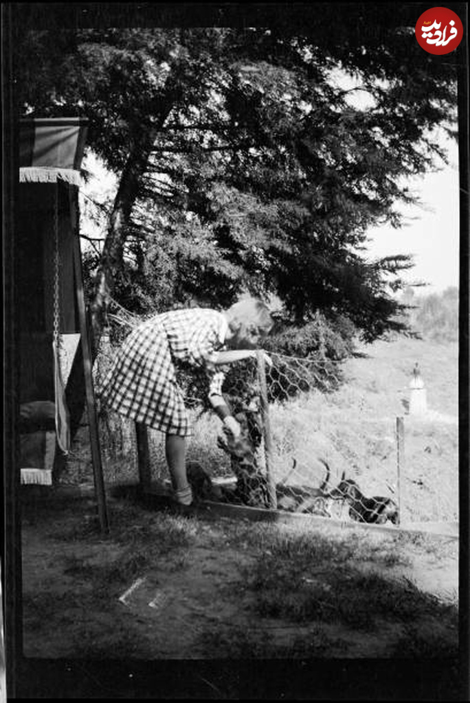 6502b92b2b46 650+9++46