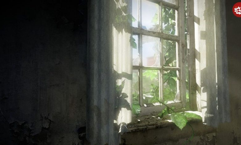 تصاویر؛ فانتزی مرگ در عصر آنتروپوسن؛ تحلیل زیستمحیطی بازی The Last of Us تصاویر؛ فانتزی مرگ در عصر آنتروپوسن؛ تحلیل زیستمحیطی بازی The Last of Us