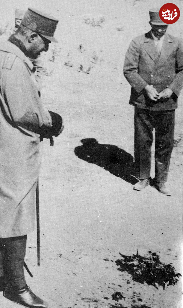 n00005906-r-b-006 n00005906-r-b-006