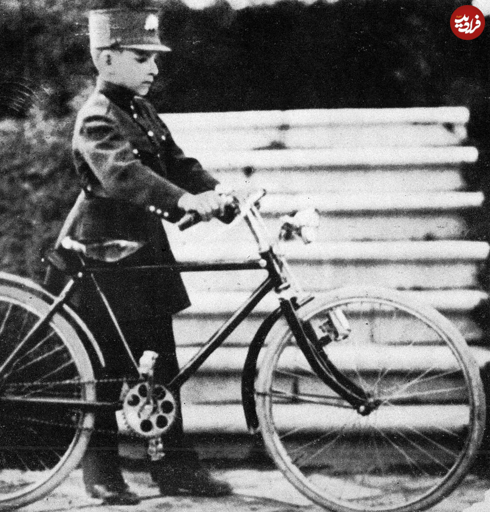 n00006133-r-b-008 n00006133-r-b-008