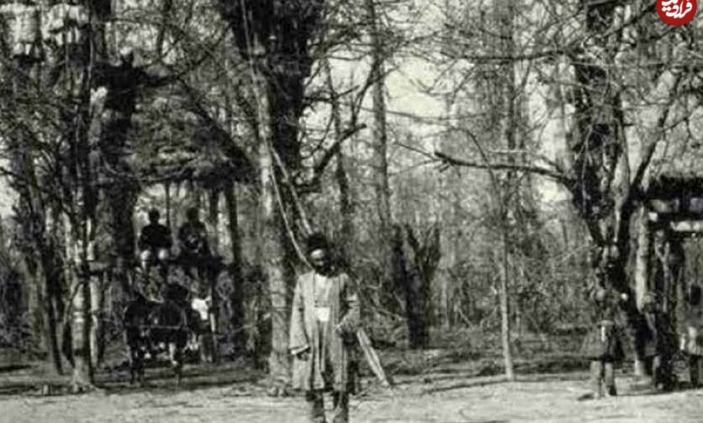 عکس؛ سفر به عصر قاجار؛ مردان بندر انزلی بالای درخت برای جمعآوری کرم ابریشم عکس؛ سفر به عصر قاجار؛ مردان بندر انزلی بالای درخت برای جمعآوری کرم ابریشم