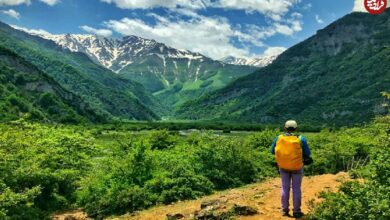 تصاویر؛ مازندران کجا بریم خنک باشد؟ راهنمای سفر به ییلاق آغوزحال تنکابن
