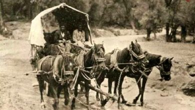 عکس؛ سفر در زمان؛ مسافرت یک هیئت تجاری در دوران قاجاری