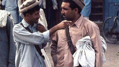 خاطرات محمود فروغی؛ سفر در زمان؛ وقتی به عنوان سفیر به افغانستان رفتم