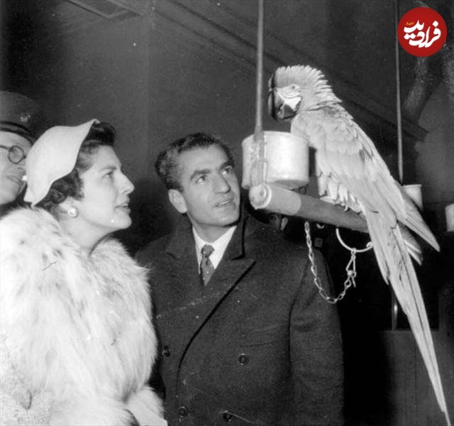 464444329_8947836665235269_1619110164556986510_n