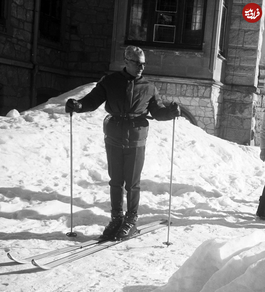 501540585855 501540585855