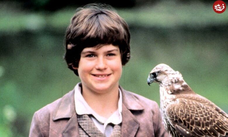 عکس؛ سفر در زمان؛ «بازیگر نقش فلیکس کینگ در سریال قصه های جزیره» در 8 سالگی؛ سال 1368 عکس؛ سفر در زمان؛ «بازیگر نقش فلیکس کینگ در سریال قصه های جزیره» در 8 سالگی؛ سال 1368