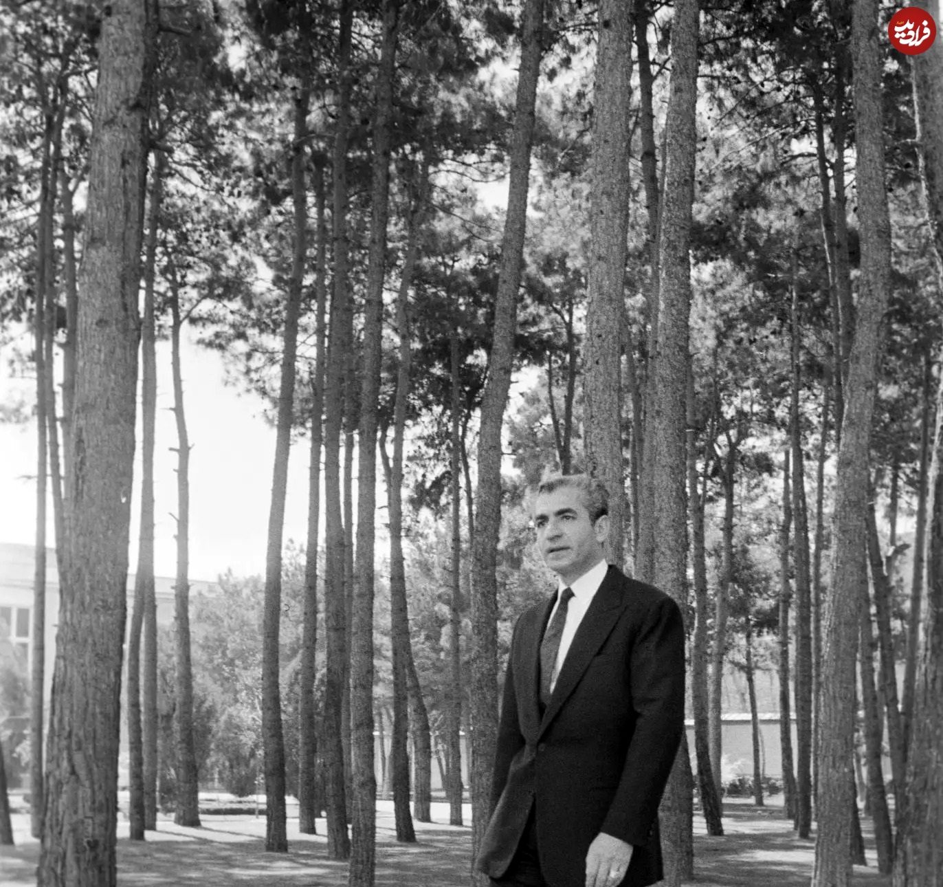 5465768970-7898_11zon