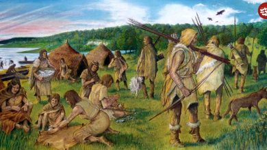 سفر در زمان؛ ضیافت اسرارآمیز در زاگرس؛ گردهمایی ۱۱ هزار سال پیش ایرانیان چگونه تاریخ را تغییر می‌دهد؟