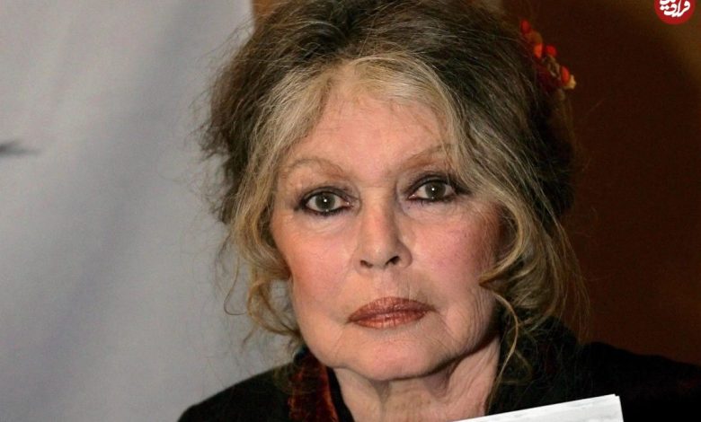 تصاویر؛ عکس های شخصی، زندگی خصوصی و بیوگرافی بریژیت باردو تصاویر؛ عکس های شخصی، زندگی خصوصی و بیوگرافی بریژیت باردو