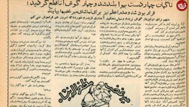 سفر در زمان؛ ۱۳ جلاد معروف تهران در یک صف به ترتیب ایستاده بودند؛ جلادان گوش‌های بریده‌شده را از زمین جمع کرده در جیب‌های یکایک راهزنان گذاشتند!