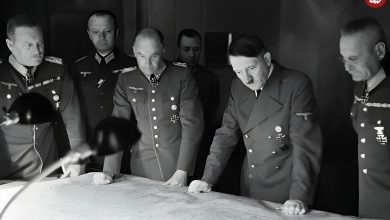 عکس؛ سفر در زمان؛ سگ قدرتمند ارتش هیتلر