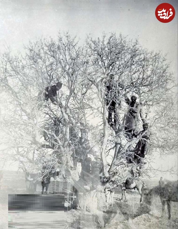 n00025477-r-b-010 n00025477-r-b-010