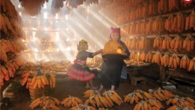 تصاویر؛ 14 شاهکار عکاسی که در سال 2025 برندۀ جایزه شدند