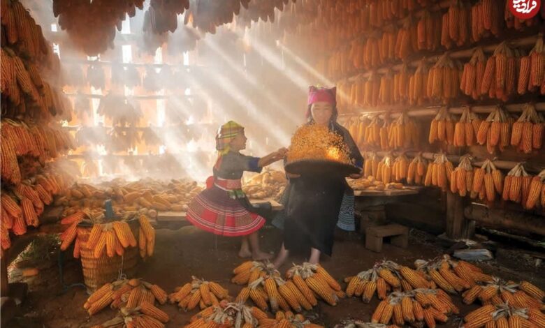 تصاویر؛ 14 شاهکار عکاسی که در سال 2025 برندۀ جایزه شدند تصاویر؛ 14 شاهکار عکاسی که در سال 2025 برندۀ جایزه شدند