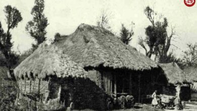 تصاویر؛ سفر به عصر قاجار؛ از «جادۀ رشت-انزلی» تا «زن حجامت‌گر»