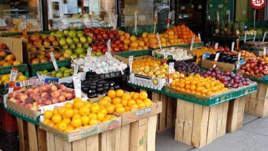 عکس؛ سفر به تاریخ؛ میوه‌فروش شیرازی که جلوی مغازه‌اش نشسته است؛ بیش از صد سال قبل