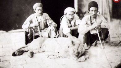 عکس؛ سفر به تاریخ؛ نقاشی 150 سالۀ نقاش اروپایی از «شیرهای ایرانی» در «تخت جمشید»