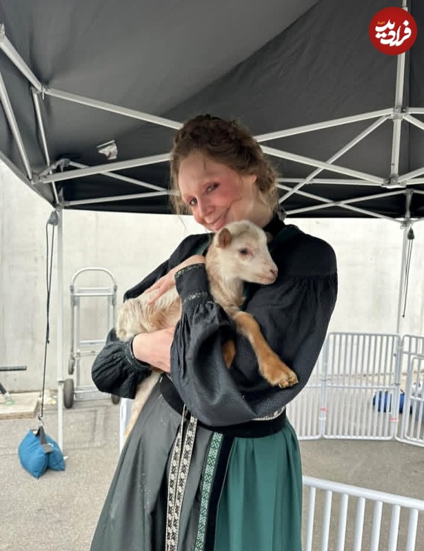 1000008036 1000008036