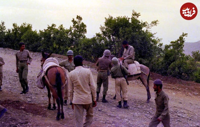 1000008040 1000008040