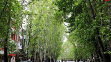 عکس؛ سفر در زمان؛ یکی از قدیمی‌ترین تصاویر رنگی موجود از تهران ولیعصر در دهه ۴۰