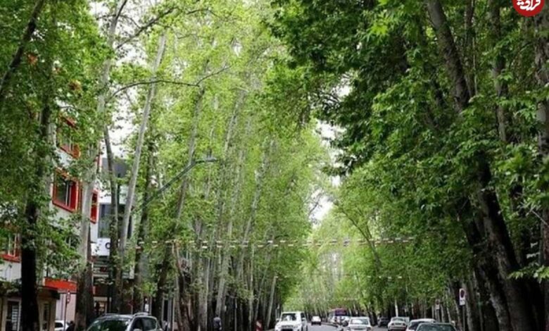 عکس؛ سفر در زمان؛ یکی از قدیمیترین تصاویر رنگی موجود از تهران ولیعصر در دهه ۴۰ عکس؛ سفر در زمان؛ یکی از قدیمیترین تصاویر رنگی موجود از تهران ولیعصر در دهه ۴۰