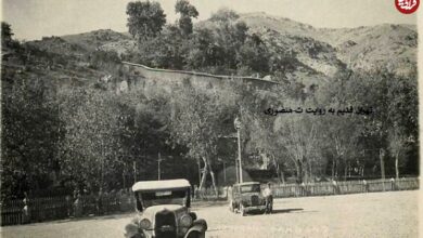 (عکس) سفر به تهران قدیم؛ باغ چناری تفرجگاه شمیرانی‌ها بود