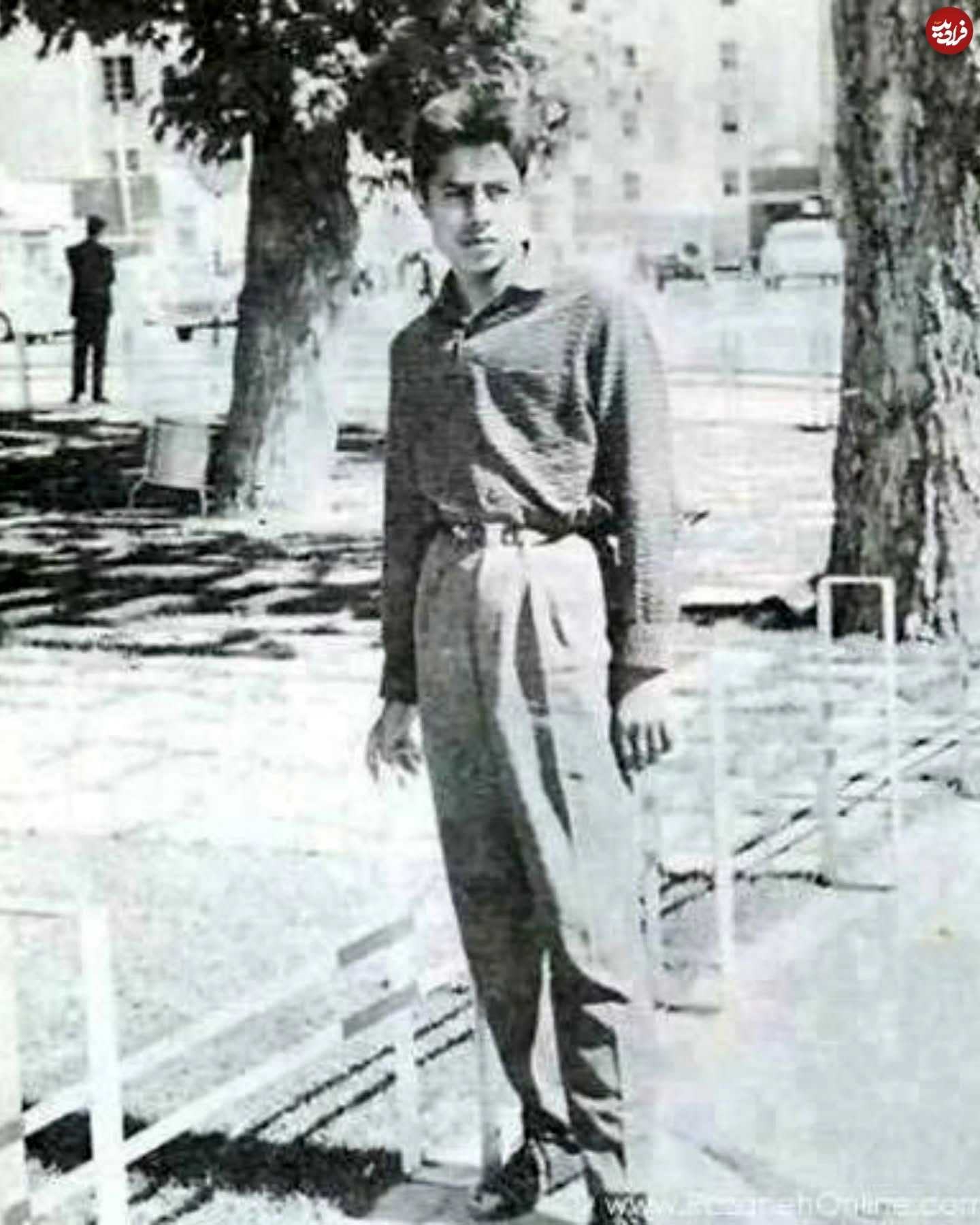 11zon_mahdi_taghipourofficial_1734293539_3523832074753181332_4947547150