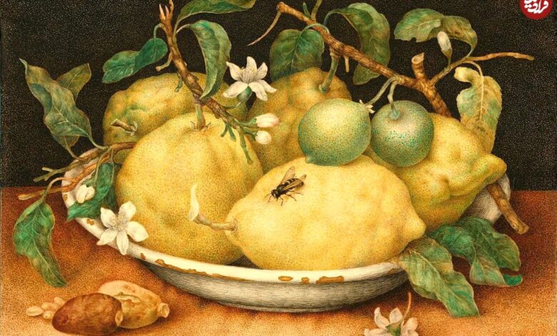 تصاویر؛ ۱۲ زن هنرمند بزرگ تاریخ که باید بشناسید تصاویر؛ ۱۲ زن هنرمند بزرگ تاریخ که باید بشناسید