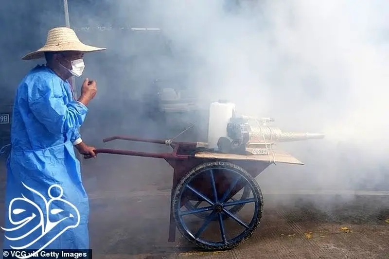 24_11zon28129 24_11zon (1)