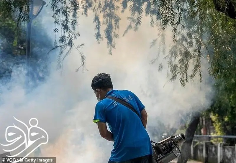 25_11zon28129-1 25_11zon (1)