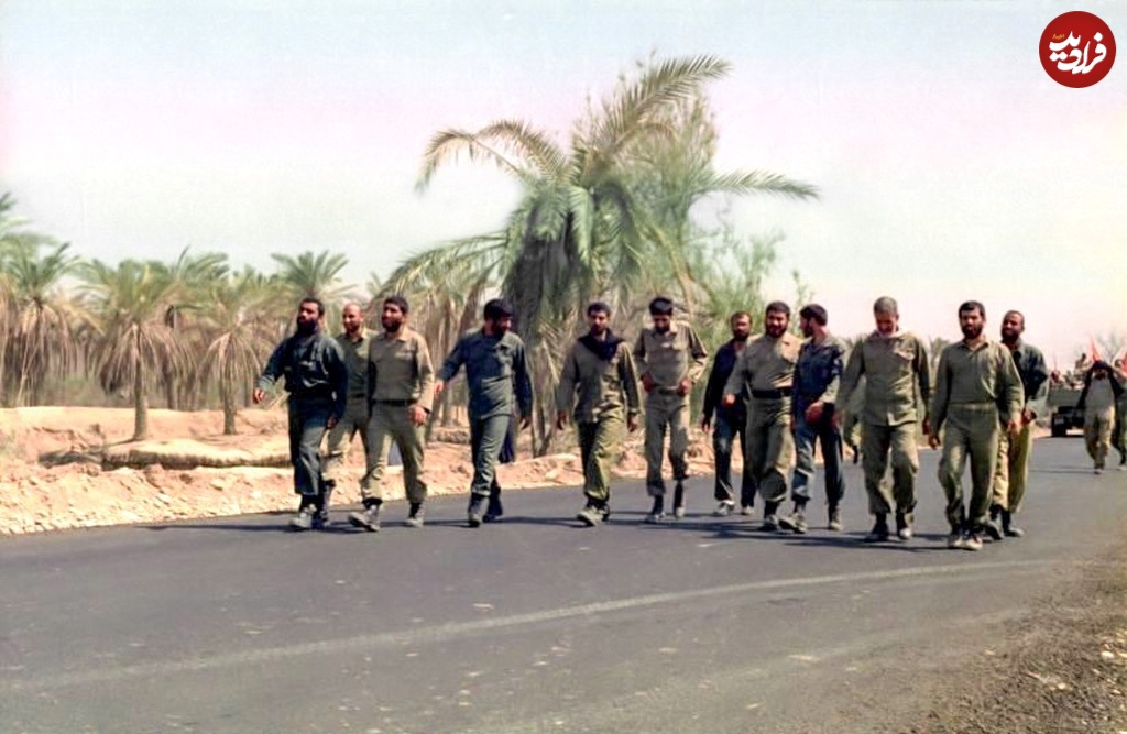 2996513_196 2996513_196