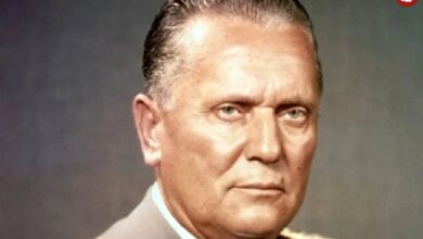 عکس؛ سفر در زمان؛ کمونیست انقلابی در تخت جمشید