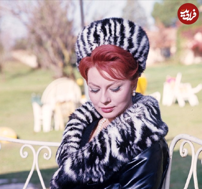 464134438_8938915286127407_1322852179968969563_n_11zon 464134438_8938915286127407_1322852179968969563_n_11zon