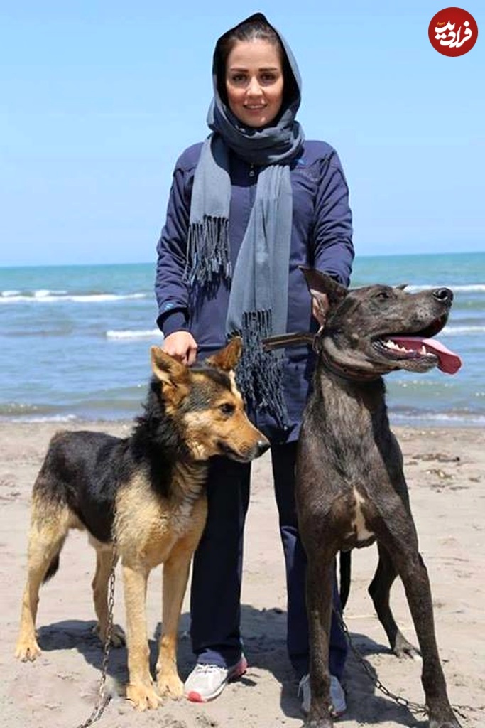 464410678_27826762703589022_8487820836443538952_n 464410678_27826762703589022_8487820836443538952_n