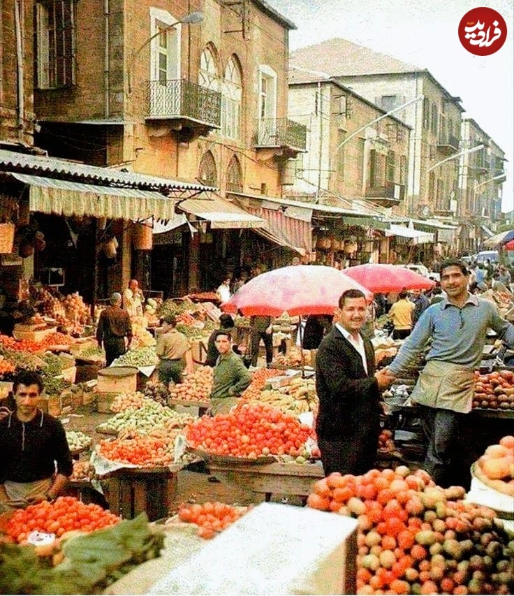 536267830_1216671580492255_4674530271025123610_n