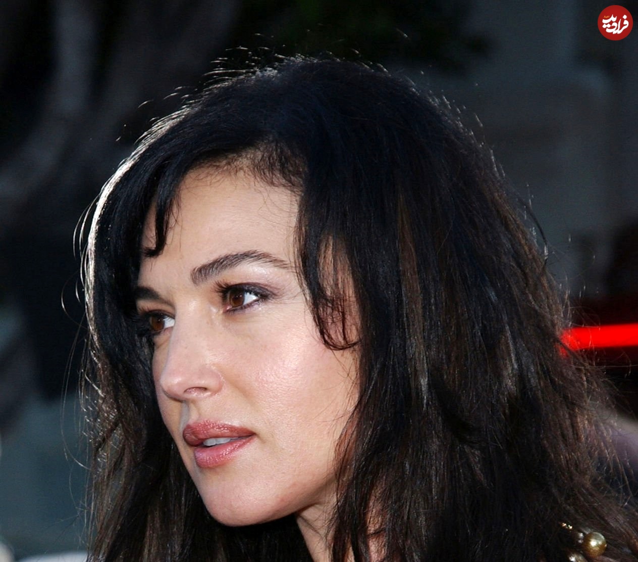 567467857856 567467857856