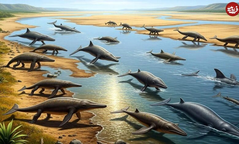 تصاویر؛ سفر شگفت‌انگیز از خشکی به دریا: ۱۰ گونه نهنگ که پیش از سلطه بر اقیانوس روی زمین می‌زیستند