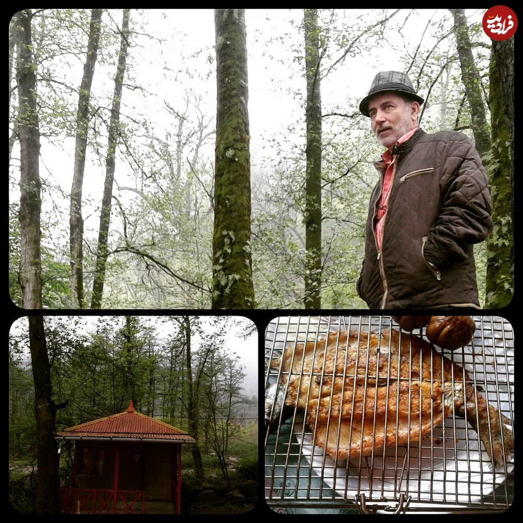 mehrdad_falahatgar_1528032544_1793589436534405830_6186638556