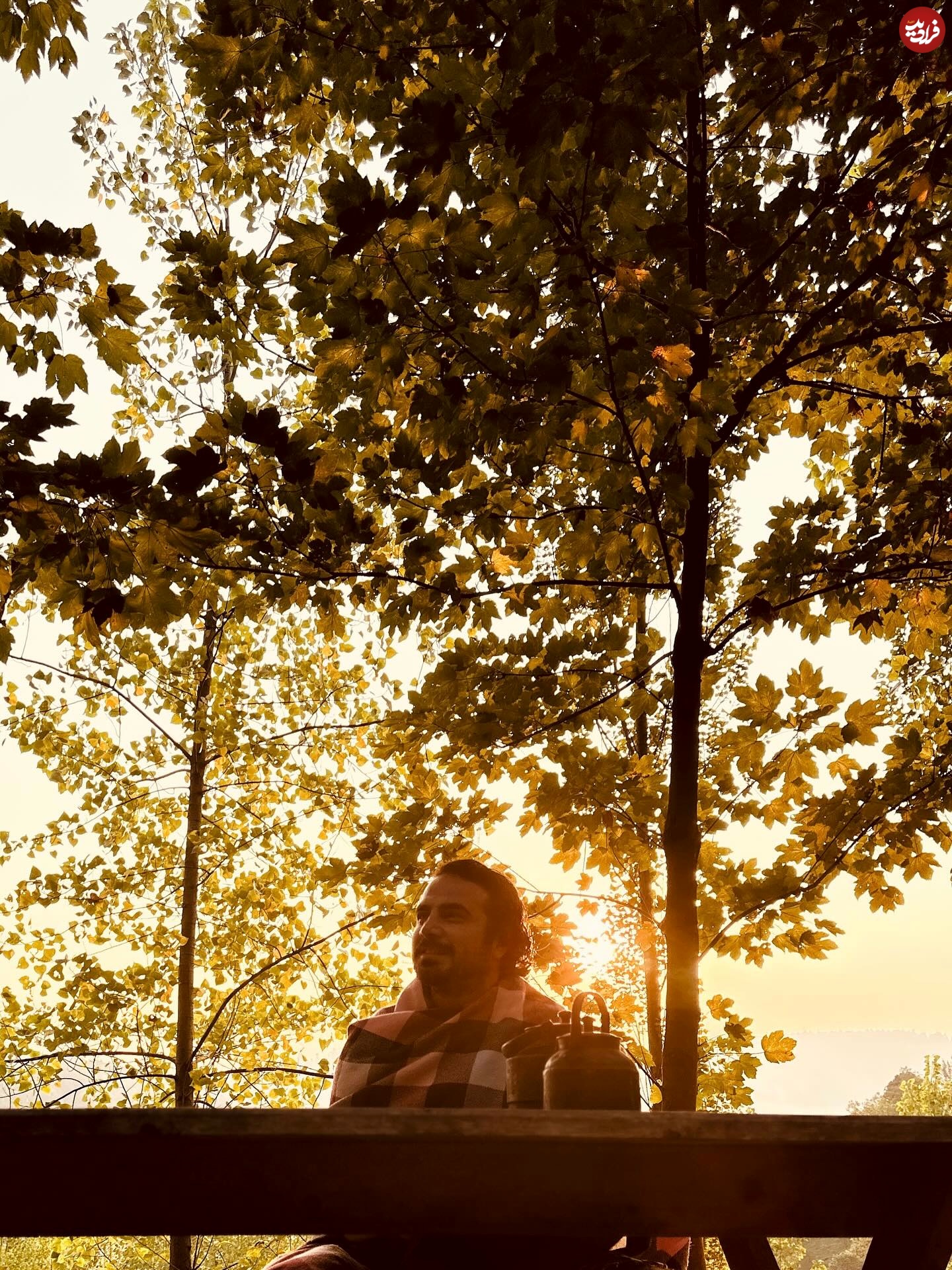 mohammadrezahelalzadeh_1754216649_3690959230092858903_493376892 mohammadrezahelalzadeh_1754216649_3690959230092858903_493376892