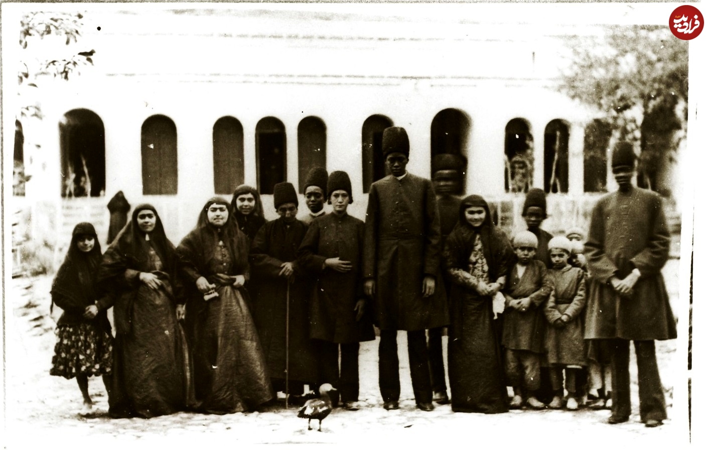 mollanasraddinx_1703353296_3264286502676951587_48091085999