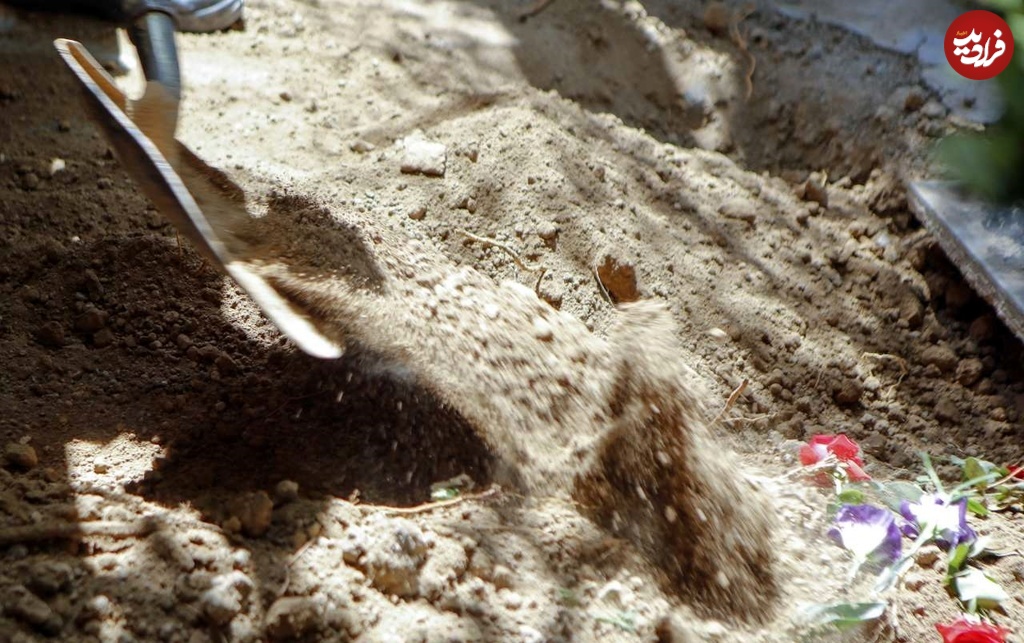 n3639235-6535282 N3639235-6535282