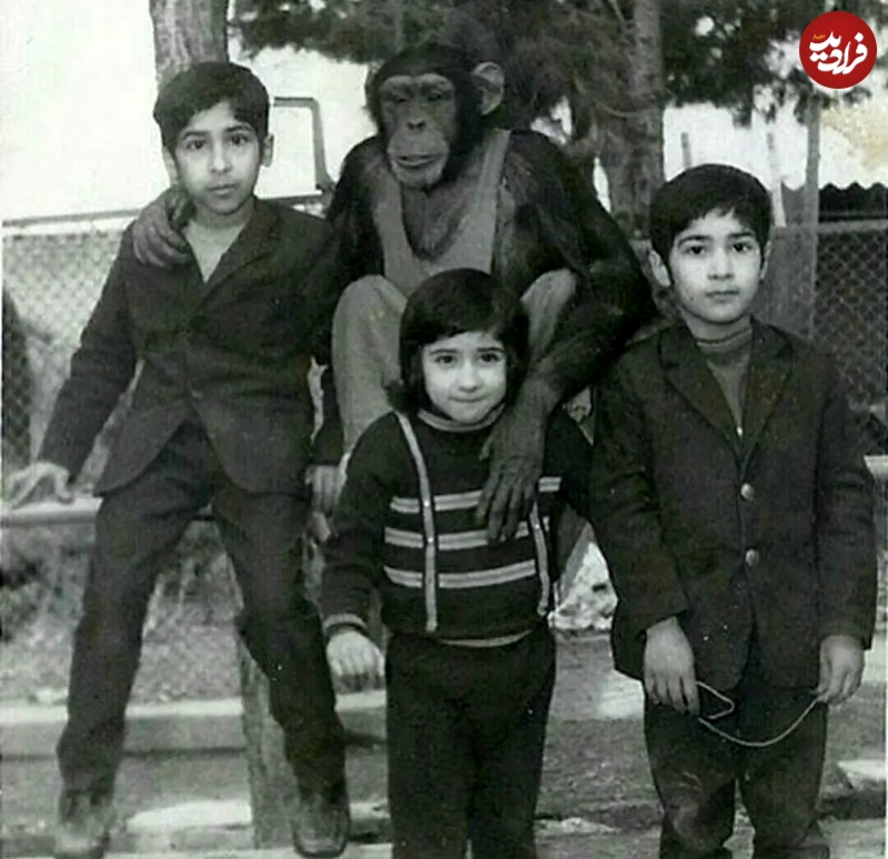 تاریخ و سفر در زمان؛ (عکس) به یادگاری بچه‌ها با میمون باغ وحش تهران سال 1351