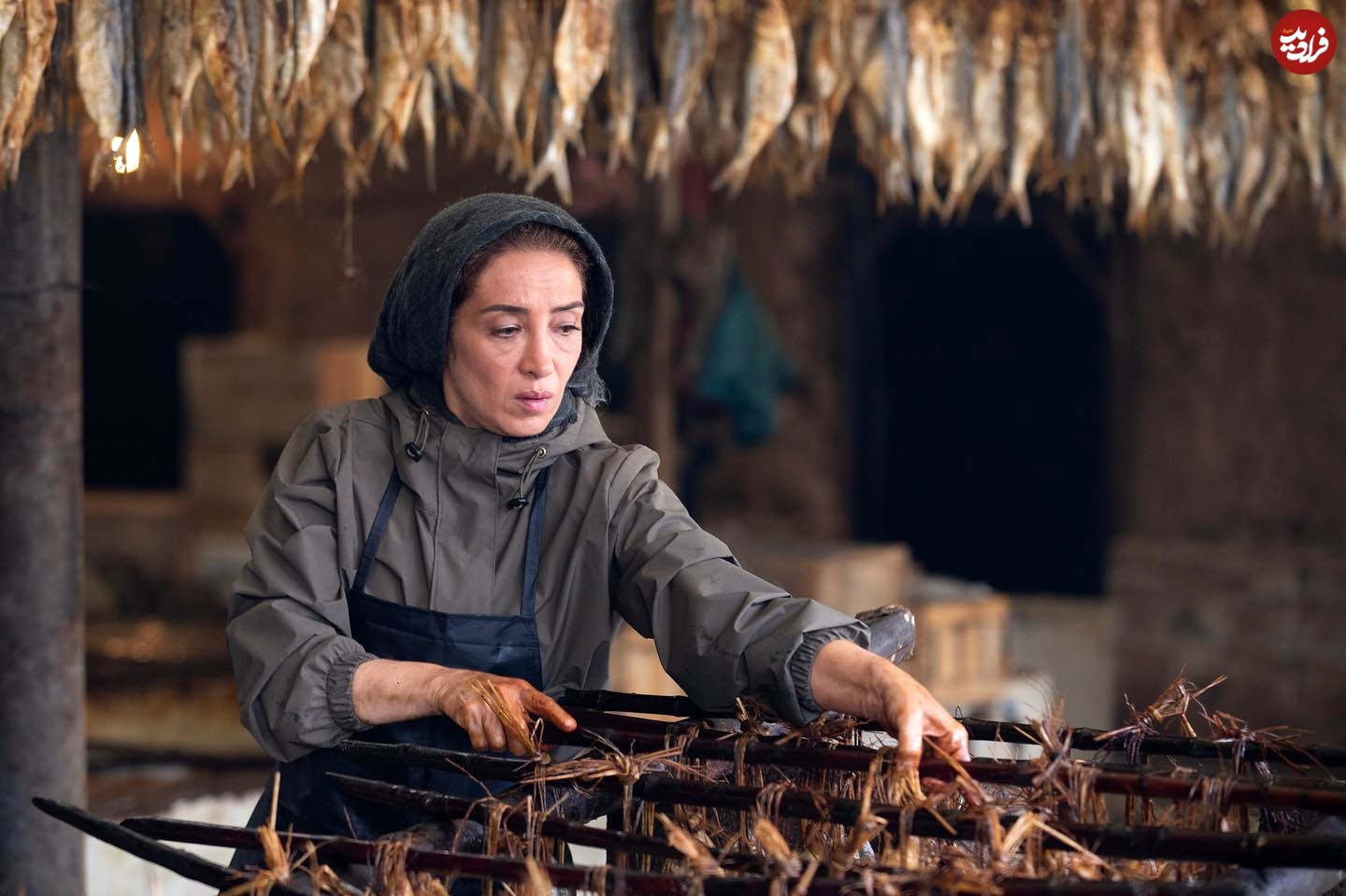 panipana_1699000541_3227772942548700479_366033639 panipana_1699000541_3227772942548700479_366033639